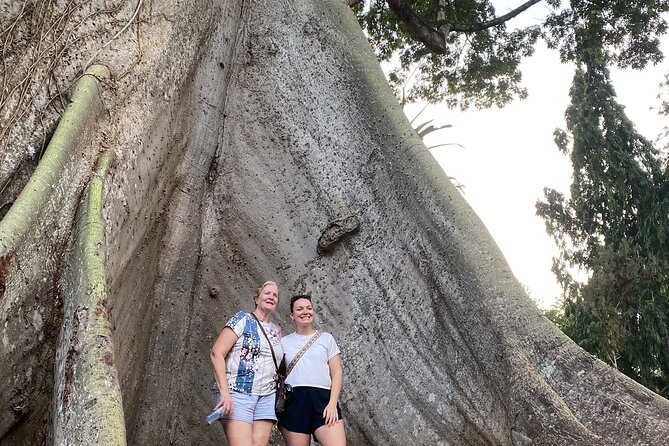 Day Trip Near Accra - Visit Aburi Gardens, Waterfall & Cocoa Farm - Is $179 per person a fair price?