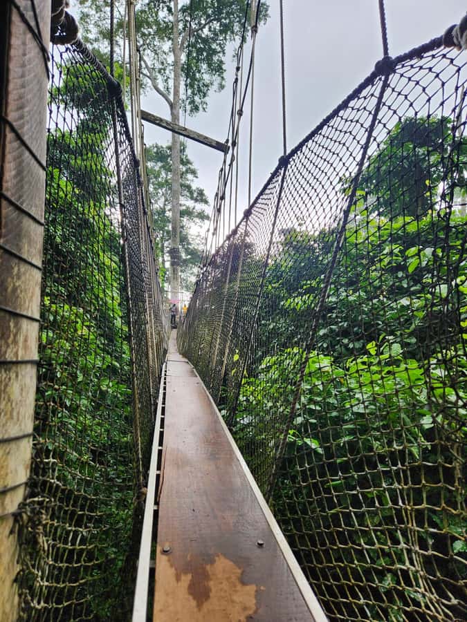 Discover Cape Coast and Elmina Castle with Kakum - Key points at a glance