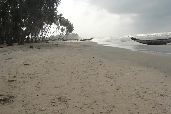 Discover Ghana in 8 days - Day Seven: Kakum’s Canopy Walkway and Local Industry