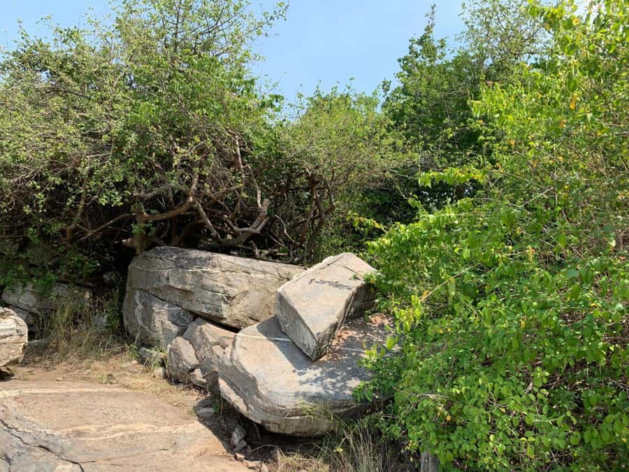 Discover Nature at Shai Hills - Adventure Full Day Trip - Three hours inside Shai Hills Resource Reserve