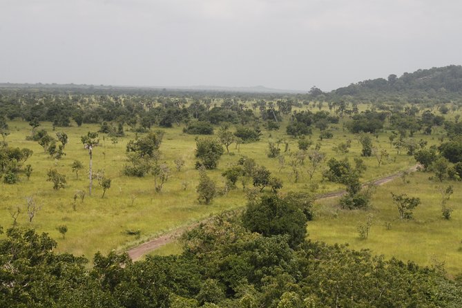 Discover Nature at Shai Hills - What the private format really adds