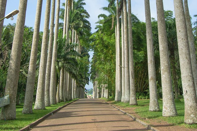 Escape Accra City to Aburi Gardens and Tetteh Quarshie Cocoa Farms - What makes this Aburi outing worth your time