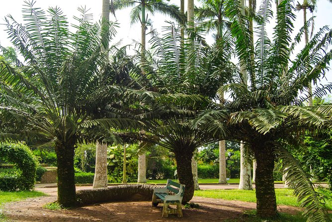 Escape Accra City to Aburi Gardens and Tetteh Quarshie Cocoa Farms - What $170 includes, and where the value lies