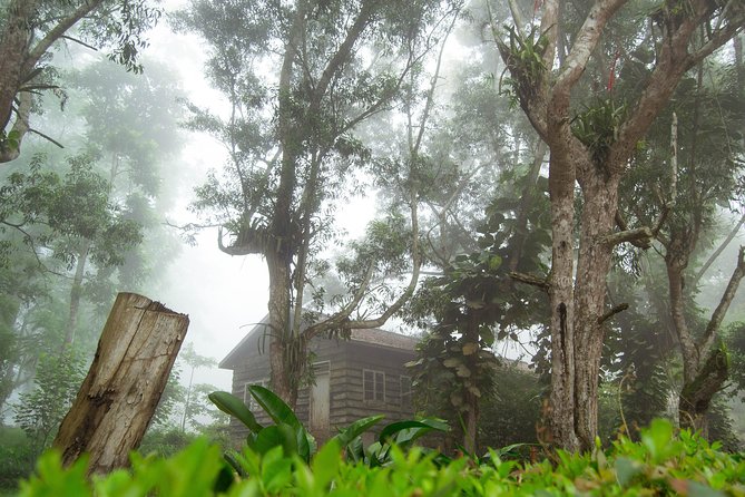 Escape Accra City to Aburi Gardens and Tetteh Quarshie Cocoa Farms - Who should book this tour?