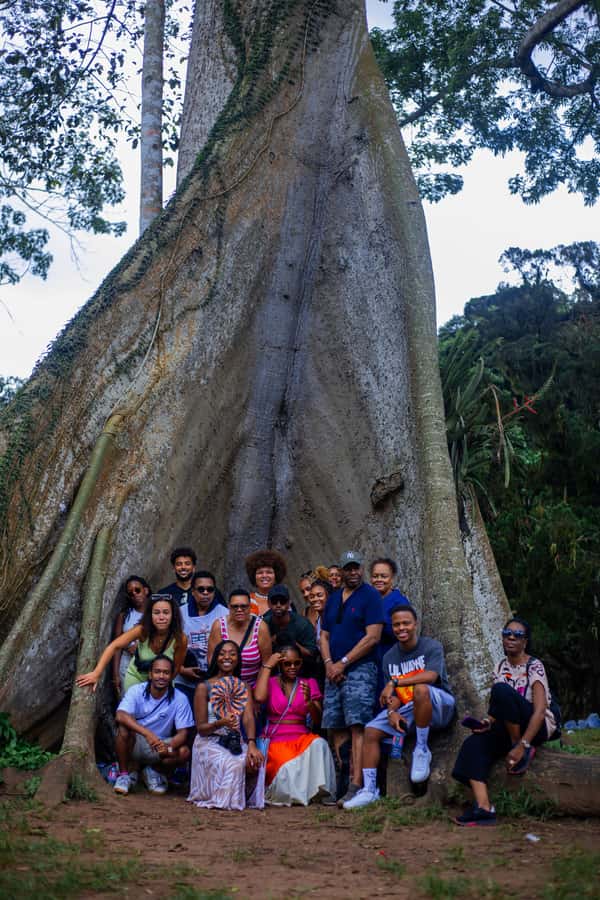 Experience Boti Twin Waterfalls, Umbrella Rock, 3H-Palm Tree - Boti Waterfalls and the 250-step descent