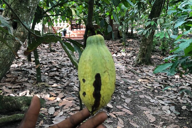 Experience Boti Waterfalls, Aburi Botanical Gardens & Tetteh Quarshie Cocoa Farm - Boti Waterfalls and the walk to Umbrella Rock