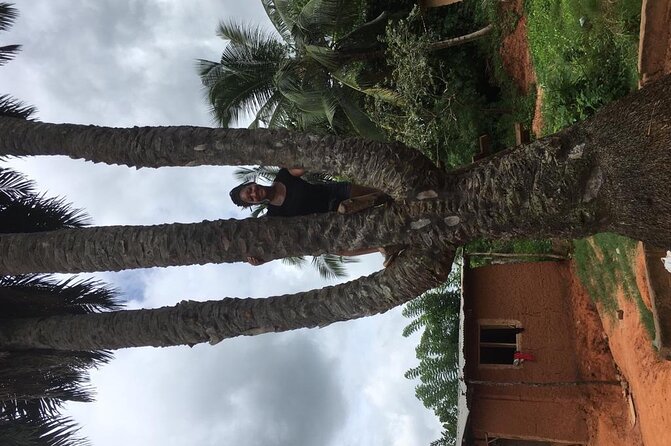 Experience Boti Waterfalls, Aburi Botanical Gardens & Tetteh Quarshie Cocoa Farm - What the guides add to the experience