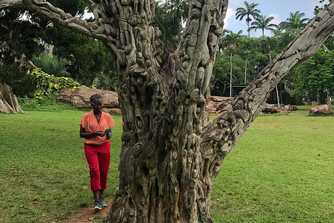 Experience Boti Waterfalls, Aburi Botanical Gardens & Tetteh Quarshie Cocoa Farm - Who should book this Ghana nature tour?