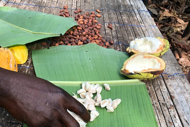 Experience Boti Waterfalls, Aburi Botanical Gardens & Tetteh Quarshie Cocoa Farm - Aburi Botanical Gardens: plants, medicine, and a carved tree