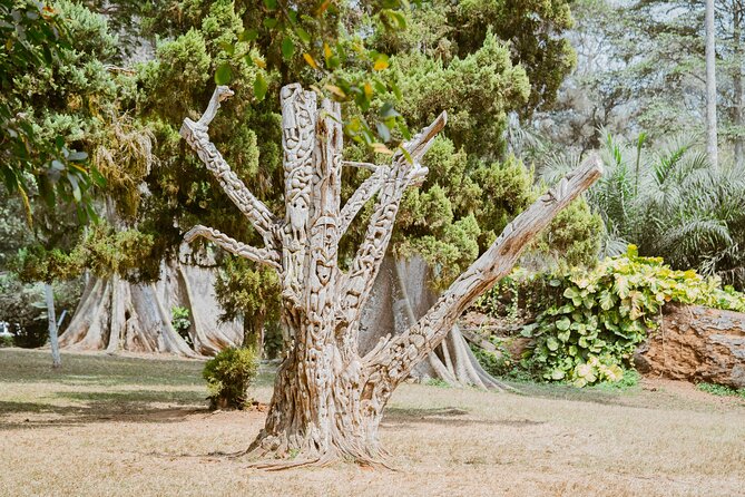 Explore Aburi Botanical Gardens And Boti Falls - Lunch, water, and what to pack