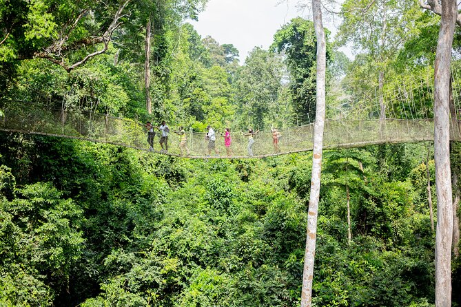 Explore Ghana Multi Day Tour - Day 6: Kakum’s forest trails and the road back to Accra