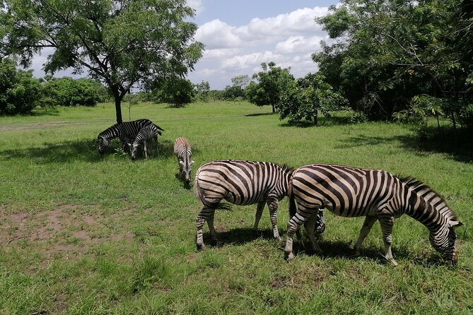 Full-Day Accra Safari and Boat Cruise Private Tour - The Rock Climb and Mobility Considerations