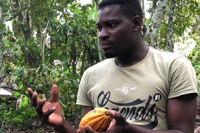 Ghana Eastern Explorer - Boti Falls, Aburi Gardens & Tetther Quarshie Cocoa Farm - Boti Falls and the twin waterfall tradition