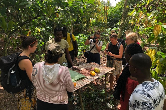 Ghana Eastern Explorer - Boti Falls, Aburi Gardens & Tetther Quarshie Cocoa Farm - Starting at Accra Mall at 7:00 am