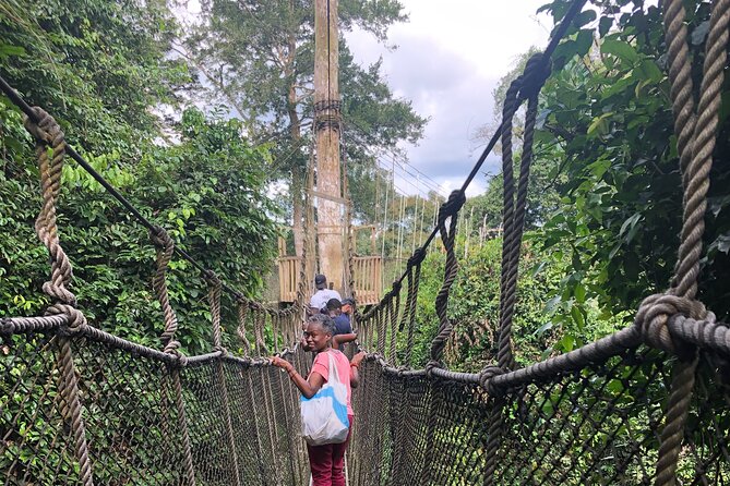 Ghana Private Historic Tour through Castles and Nature - Kakum National Park And The 50-Meter Canopy Walkway