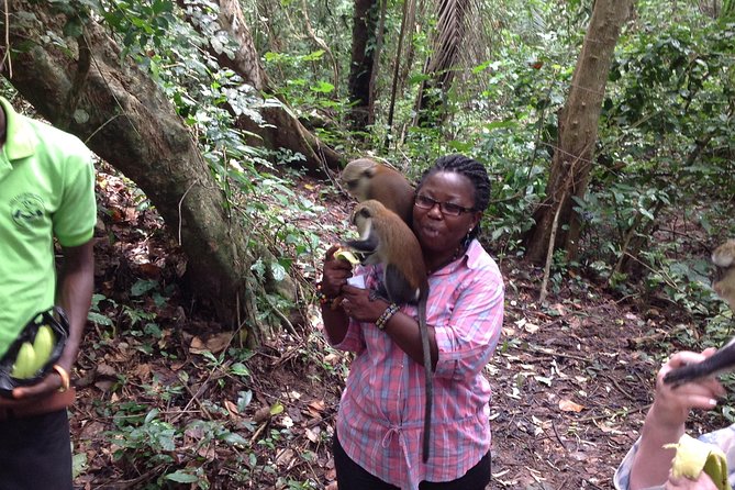Guiding Tours In Ghana/West Africa - Days 6 and 7: Nzulezo, Busua Beach, and Takoradi