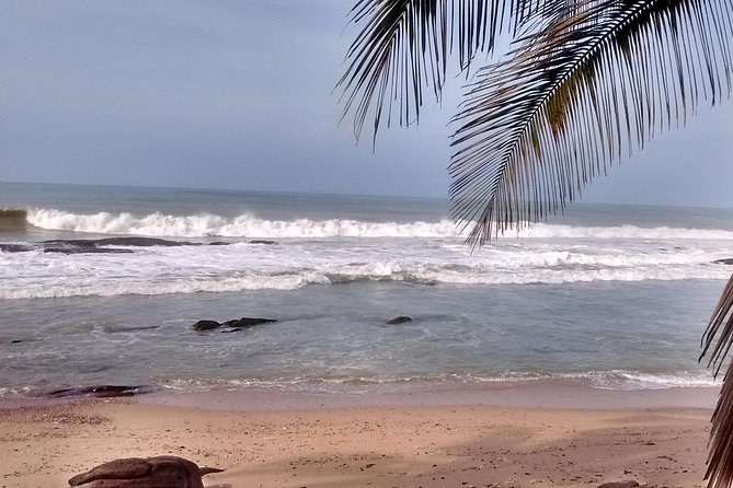 Guiding Tours In Ghana/West Africa - Day 1: Mona monkeys, mountain air, and Wli Waterfalls