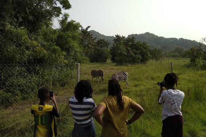 Half-day Accra Safari Tour - Five useful things to know before you go