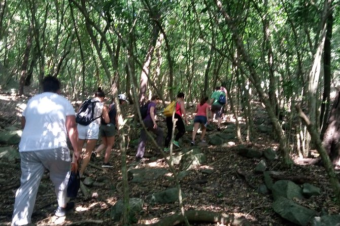 Half-day Accra Safari Tour - Why Shai Hills works as an Accra day trip