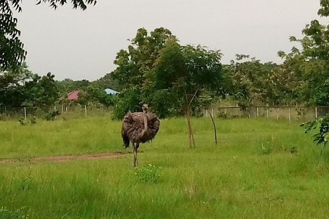 Half-day Accra Safari Tour - Hiking the four ancestral hills and caves