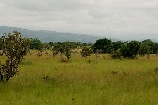 Half-day Accra Safari Tour - The history behind the rocks