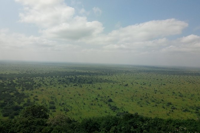 Half-day Accra Safari Tour - What to bring and how to prepare