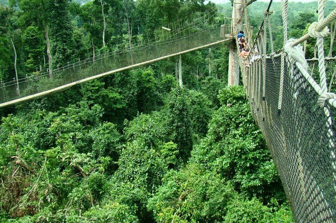 Leisure trip on the coast of Ghana - Day 2: Kakum’s rainforest and the long road west