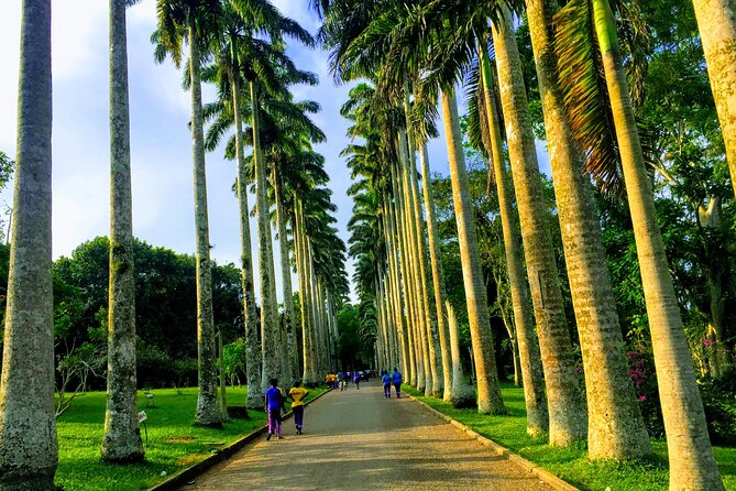 Nature Thrills - Key things to know before you go