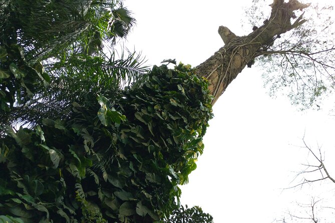 Nature Thrills - Who will enjoy Nature Thrills most
