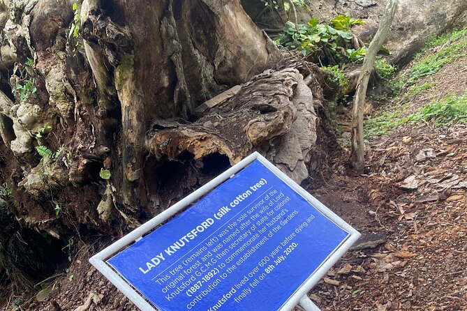 Private Aburi Hill Guided Tour - Why this Aburi tour works well from Accra