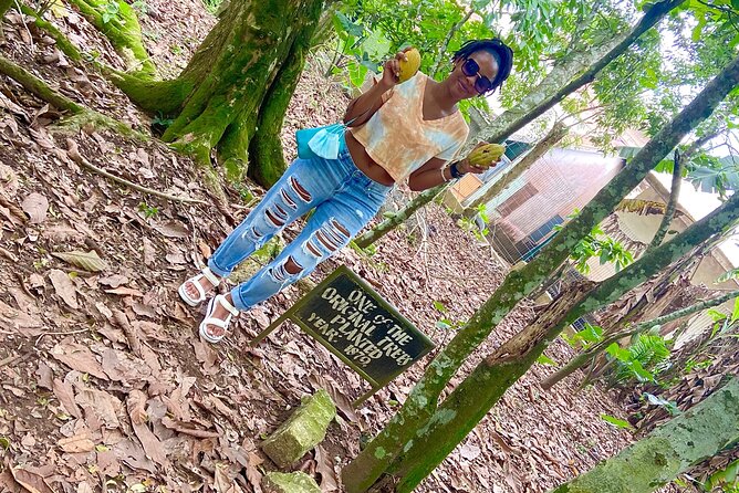 Private Aburi Hill Guided Tour - Tetteh Quashie Cocoa Farm and Ghana’s chocolate story