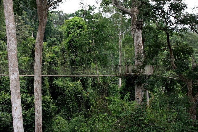 Private Multi-Day Ghana Tour about Culture History and Wildlife - 7 Days - What the $3,095 price includes