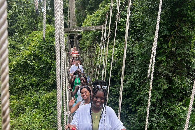 Private Sightseeing Tour in Ghana - Kakum National Park above the forest floor
