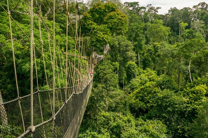SEEGhana: Accra City Tour and Local Culture - Labadi Pleasure Beach and an outdoor movie