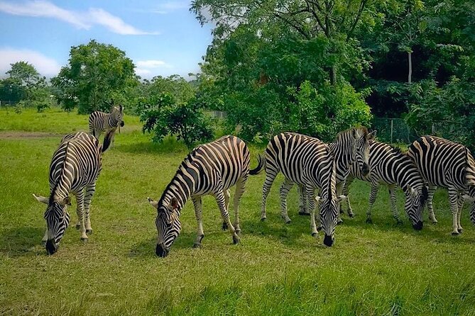 Shai Hills Half Day Accra Safari, Hike & see Animals - Key points to know before you go