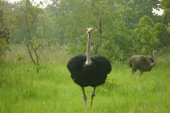 Shai Hills Half Day Accra Safari, Hike & see Animals - Why Shai Hills works so well as an Accra day trip