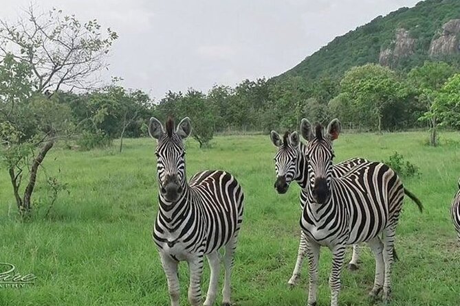Shai Hills Half Day Accra Safari, Hike & see Animals - Finding baboons, zebras, and antelope