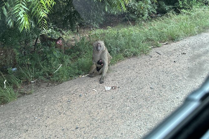 Shai Hills Safari - Hike & See Animals - Guides, photos, and the human side