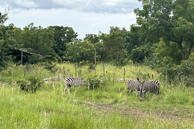 Shai Hills Safari - Hike & See Animals - Who should book this experience?