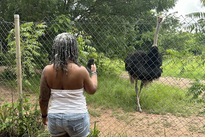 Shai Hills Safari - Hike & See Animals - What to bring and how to prepare