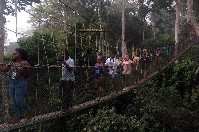 The Best Of Cape Coast Tour - What the $242.31 price really covers