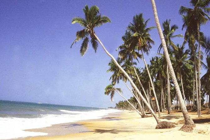 The Best Of Cape Coast Tour - Practical advice for a better day