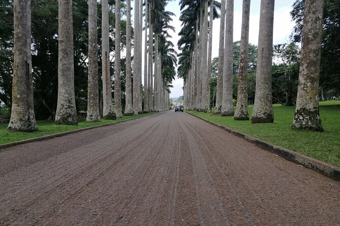 The Botanical Gardens and Water Falls Experience - Private Tour - From Accra to Aburi on the zigzag mountain road