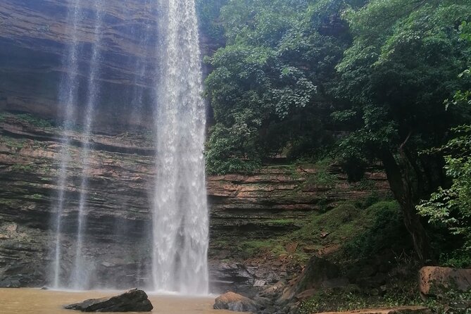 The Botanical Gardens and Water Falls Experience - Private Tour - What the private format changes