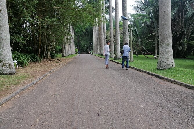 The Botanical Gardens and Water Falls Experience - Private Tour - Who will enjoy this day most