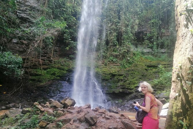 The Botanical Gardens and Water Falls Experience - Private Tour - Practical tips for a smoother outing