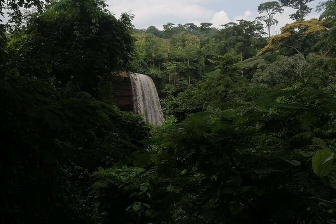 The Botanical Gardens and Water Falls Experience - Private Tour - Aburi Botanical Gardens: plants, spice trees, and useful local knowledge