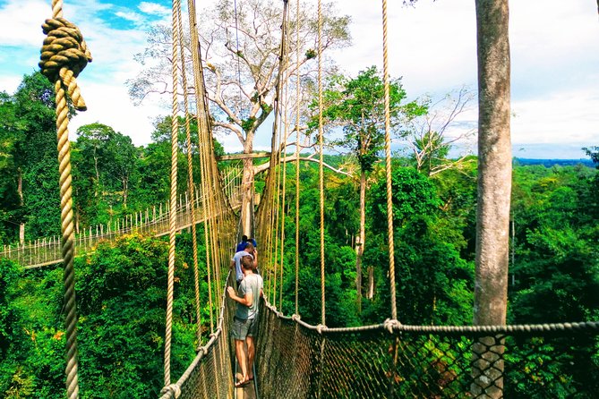 Rope walkway strung through the forest canopy at Kakum