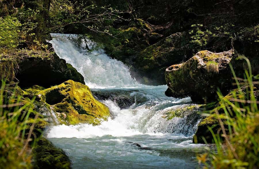 Visit Aburi Garden, Tetteh Quarshie Cocoa Farm & Waterfall - An early road into the Aburi Hills