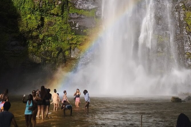Wli Waterfall and Tafi Atome Monkey Sanctuary Tour - What the private format adds